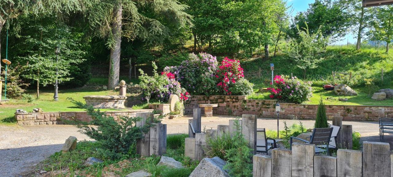Locations Des 3 Sommets Avec Sauna Et En Alsace *