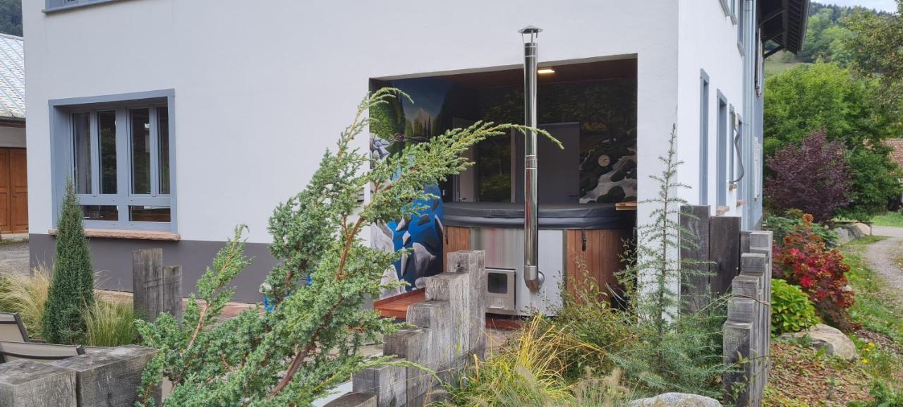 Locations Des 3 Sommets Avec Sauna Et En Alsace