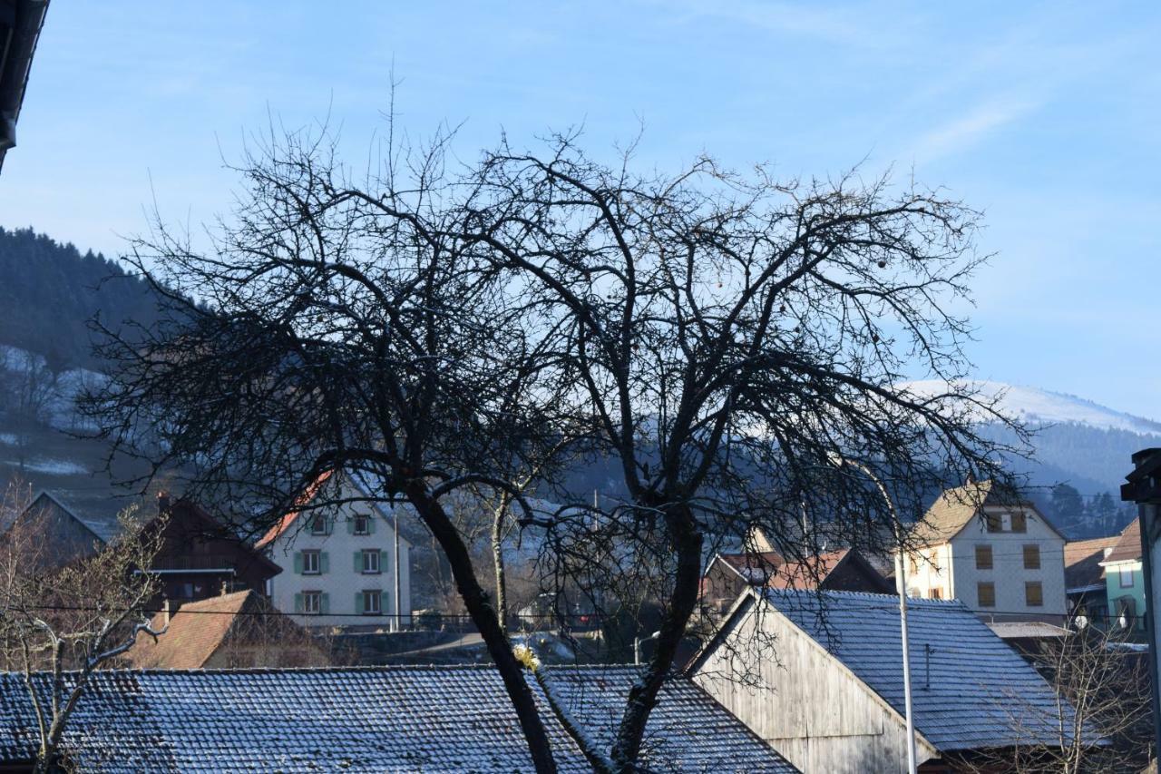 Locations Des 3 Sommets Avec Sauna Et En Alsace Hébergement de vacances