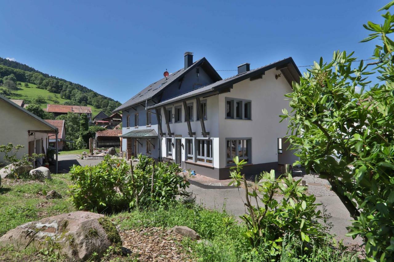 Locations Des 3 Sommets Avec Sauna Et En Alsace *