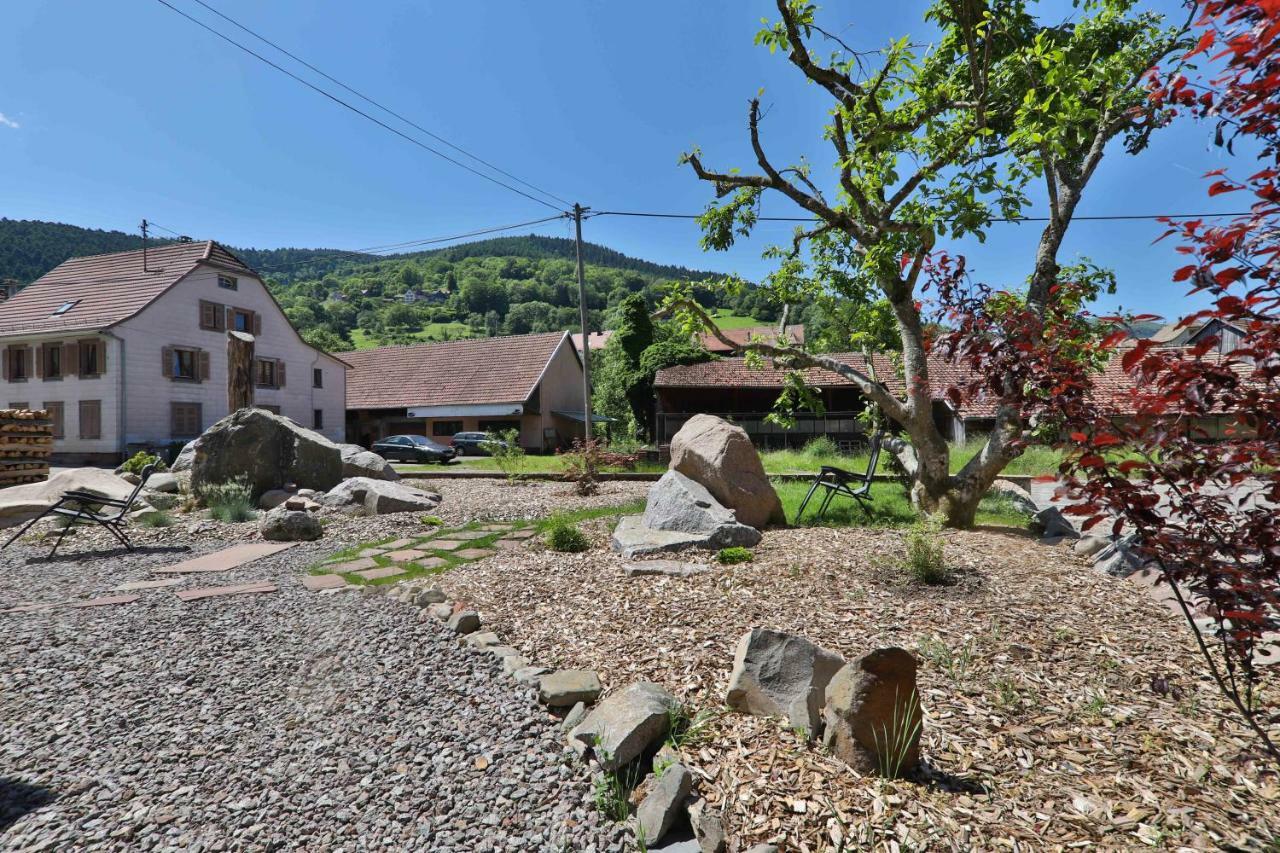Locations Des 3 Sommets Avec Sauna Et En Alsace
